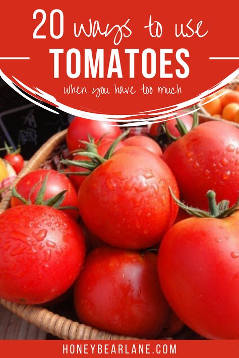 A little tomato inspiration for any of you overcome with an abundance of tomatoes this year.  Best ways to use tomatoes from garden. Garden tomatoes what to do with.What to do with extra garden tomatoes. Things To Make With Tomatoes From The Garden, Uses For Garden Tomatoes, What To Do With Bulk Tomatoes, Big Tomato Recipes, Ways To Use Tomatoes From Garden, What To Do With An Abundance Of Tomatoes, What To Do With A Bunch Of Tomatoes, What To Make With Garden Tomatoes, Things To Do With Tomatoes From Garden