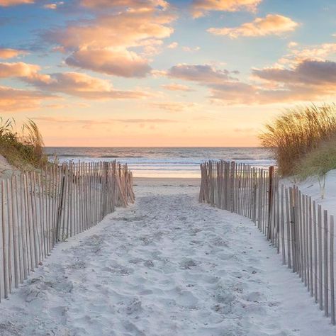 Second Beach, Middleton, Rhode Island Sea Artwork, England Beaches, Beach Path, Panoramic Photography, Beach Wall Decor, Newport Ri, Ocean Sunset, Large Canvas Art, Types Of Photography