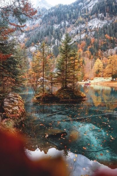 "There is nothing like the ocean to relax the mind of the human being..." André, 20, Portugal. Blausee Switzerland, Fall Forest, Beautiful Scenes, Lake Photos, Autumn Scenery, Dream Board, Enchanted Forest, Pretty Places, Scenic Views