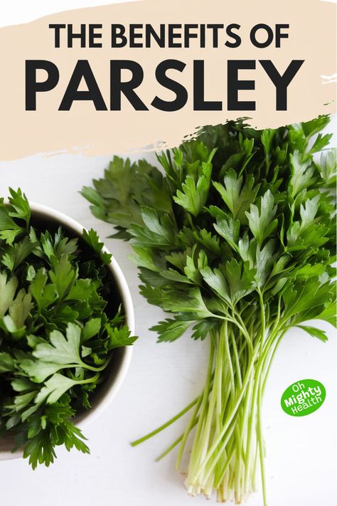 Fresh bundle of bright green parsley stems and leaves alongside a white bowl filled with chopped parsley leaves on white surface. Health Benefits Of Vegetables, Benefits Of Parsley Tea, Health Benefits Of Parsley, Cleavers Herb Benefits, Parsley Benefits Health, Parsley Tea Benefits, Benefits Of Parsley, Parsley Health, Parsley Benefits