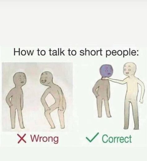 Short People Memes, Short Person, Tall Person, Short People, Quality Memes, How To Talk, Memes Hilarious, Know Your Meme, Funny Pins