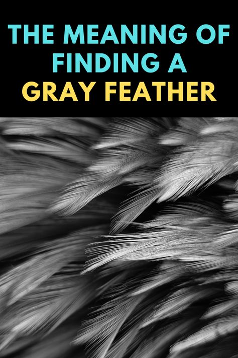 Spiritual Meaning Of Feathers, Gray Feather Spiritual Meaning, Grey Feather Spiritual Meaning, Finding Feathers Meaning, Gray Feather Meaning, Grey Feather Meaning, Black Feather Meaning, Meaning Of Feathers, Feather Color Meaning