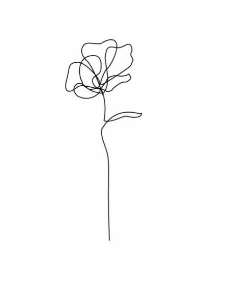 Carnation One Line Drawing, Single Line Marigold Tattoo, Marigold Minimalist Tattoo, Single Line Poppy Tattoo, Andiamo Tattoo, Carnation Line Tattoo, Orchid Fine Line Tattoo, Orchid Tattoo Minimalist, Flower Fine Line Tattoo