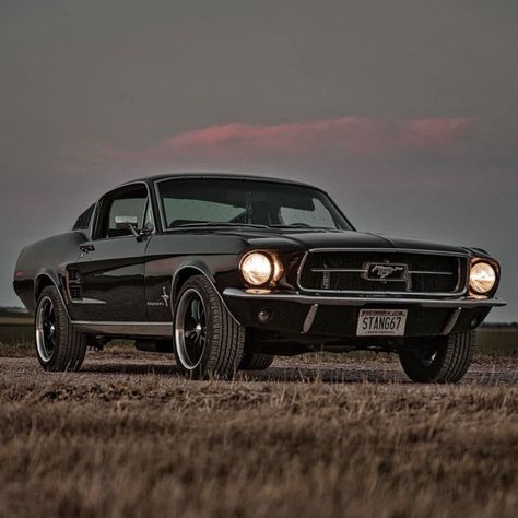 1967 Mustang Wallpaper, Siyah Mustang, Mustang 67, Tmax Yamaha, Ford Mustang 1967, Ford Mustang Classic, Black Mustang, Mustang Wallpaper, Vintage Mustang