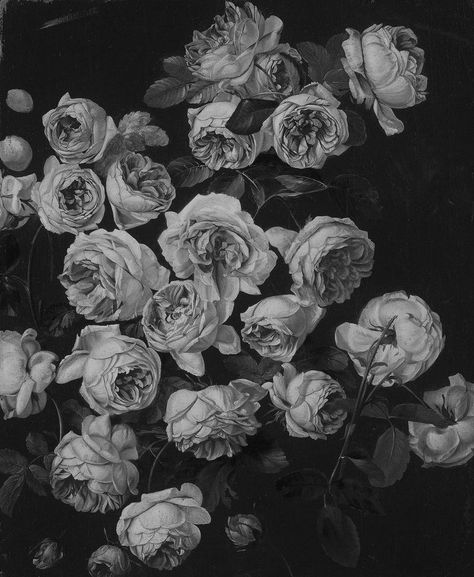 Grey Flowers Aesthetic, Cozinha Aesthetic, Grey Aesthetic, Flowers Aesthetic, Gray Aesthetic, Grey Flowers, Arte Inspo, Photo Wall Collage, Black And White Aesthetic