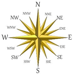 Compass: North, South, East and West North South East West, Garden Solutions, Book Writing Tips, North South, East West, First Grade, Daffodils, Writing Tips, Writing A Book