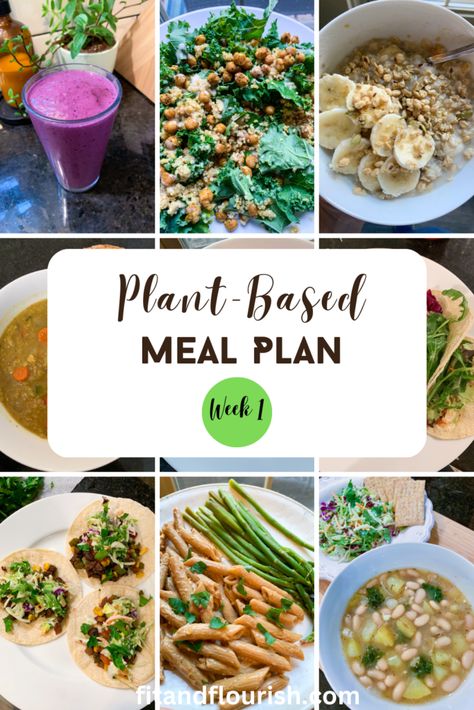 Flax Granola, Veggie Lo Mein, Vegan Creamer, Vegan Mushroom Stroganoff, Meal Plan Week, Printable Grocery List, Plant Based Meal Planning, Lemon Tahini Dressing, 7 Day Meal Plan