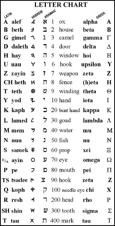 Paleo Hebrew Alphabet, Ancient Hebrew Alphabet, Learn Hebrew Alphabet, Hebrew Language Learning, Hebrew Language Words, Hebrew Writing, Hebrew Vocabulary, Letters Paper, Paleo Hebrew