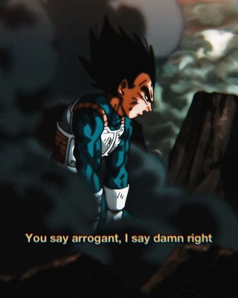 Vegeta Quotes Pride, Vegeta Quote, Vegeta Quotes, Karate Quotes, Fan Quotes, Balls Quote, Pride Quotes, Man Up Quotes, Anime Quotes Inspirational