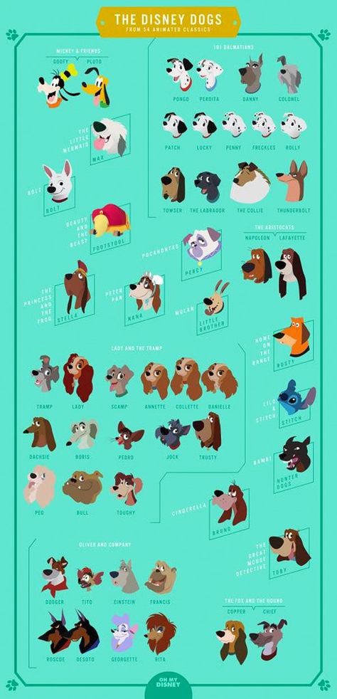 Goofy and Pluto: Both dogs, but only Goofy can talk? Different Types Of Dogs, Images Disney, Disney Nerd, Disney Dreams, Disney Dogs, 강아지 그림, Disney Facts, Disney Animals, Pinturas Disney