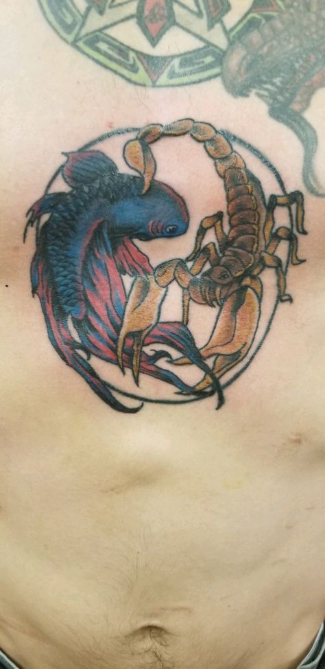 Aquarius and Scorpio sternum piece. For my best friend my wife. Fish And Scorpion Tattoo, Scorpion And Pisces Tattoo, Pieces And Scorpio Tattoo, Aquarius Scorpio Tattoo, Scorpio And Pisces Tattoo Combined, Scorpio Aquarius Tattoo, Scorpio Pisces Tattoo, Aquarius And Scorpio Tattoo, Scorpio And Aquarius Tattoo