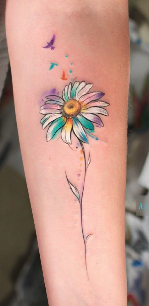 Professional Tattoos Women, Heritage Tattoo Ideas, Sunflower To Butterfly Tattoo, Let Them Tattoo Ideas With Flowers, Daisy Tatoos Ideas, Butterfly And Daisy Tattoo, Watercolor Flower Tattoos, Daisy And Butterfly Tattoo, Daisy Tattoos For Women