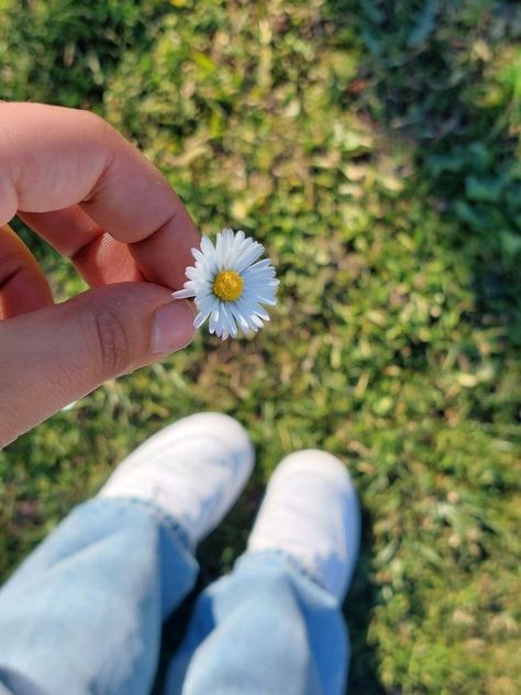 Nails Acrylic Flowers, Aesthetic Flower Tattoo, Winter Flowering Plants, Tattoo Design Flower, Nail Flowers, Dresses Flowers, Hands Holding Flowers, Nails Flowers, Flowers Nails