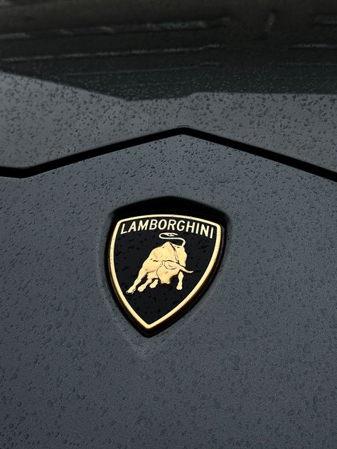 #lamborghini Cars Aesthetic Lamborghini, Lamborghini Aventador Aesthetic, Lambo Aesthetic, Lamborghini Aesthetic, Lamborghini Badge, Lamborghini Price, Men Aesthetics, Lamborghini Logo, Aventador Lamborghini