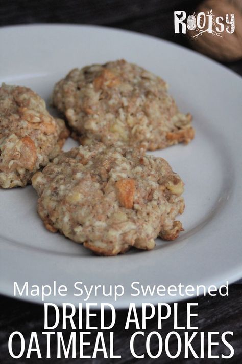 Using only maple syrup for sweetener dried apple cookies are made slightly healthier with the addition of wheat germ and rolled oats, making them a dessert you can feel good about serving. Get the easy recipe on our blog. #homemaderecipe #fromscratch #recipeideas Apple Oatmeal Cookies, Dehydrated Apples, Healthy Homemade Snacks, Leftover Cranberry Sauce, Apple Oatmeal, Tasty Dessert, Apple Cookies, Wheat Germ, Dried Apples