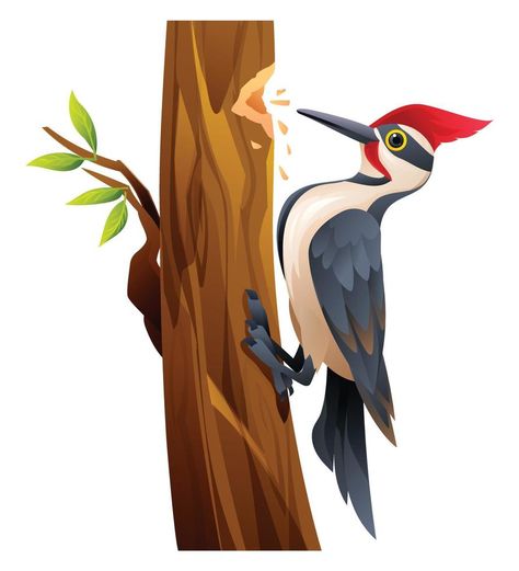 Cute woodpecker bird cartoon illustration isolated on white background Woodpecker Drawing, Bird Cartoon Illustration, Woodpecker Illustration, Woodpecker Art, Woodpecker Bird, Bird Cartoon, Cartoon Bird, Cartoon Birds, Vector Sketch