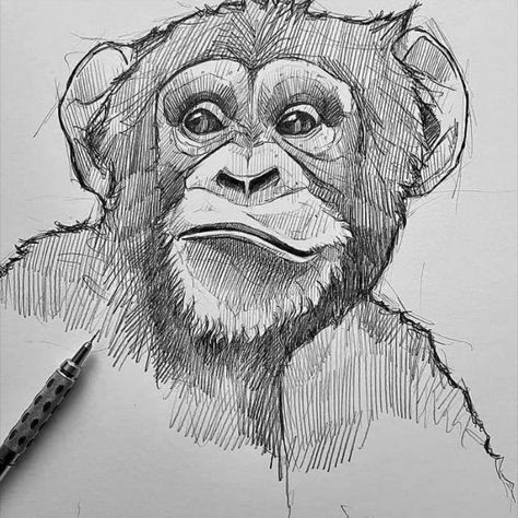 Cool Elephant Drawings, Animal Pen Sketch, Animal Ink Drawing, Animal Texture Drawing, Architecture Drawing Art Sketches, Animals Pencil Sketch, Gorilla Art Drawing, Pencil Art Drawings Animals, Monkey Pencil Drawing