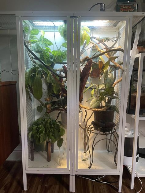 Chameleon hybrid cage Pet Chameleon Cage, Chameleon Tank Ideas, Chameleon Set Up, Panther Chameleon Enclosure, Chameleon Cage Setup Ideas, Veiled Chameleon Enclosure, Diy Chameleon Enclosure, Diy Chameleon Cage, Chameleon Cage Ideas