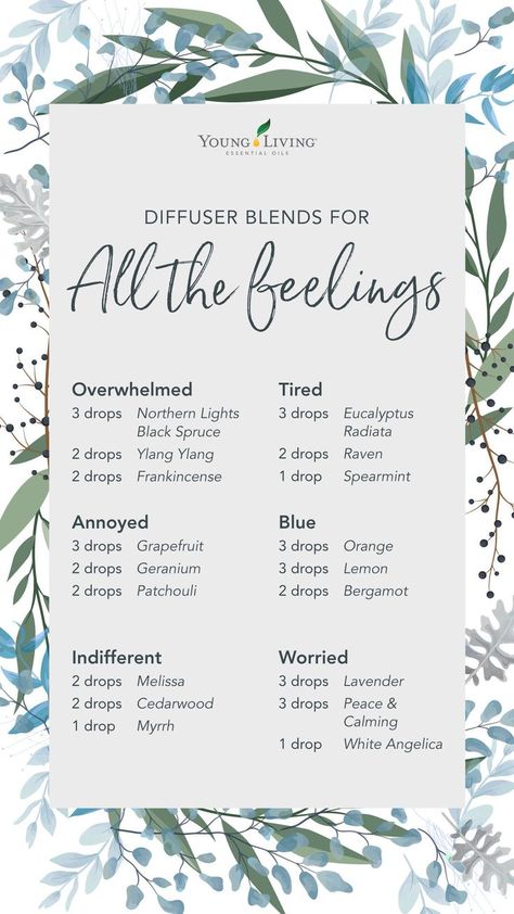 Northern Lights Black Spruce, Young Living Essential Oil Diffuser, Diffuser Blends Young Living, Young Living Oils Recipes, Eo Blends, Young Living Recipes, White Angelica, Eucalyptus Radiata, Essential Oil Perfumes Recipes