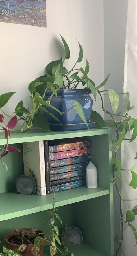 Crystal Bookshelf, Bookshelves, Crystals