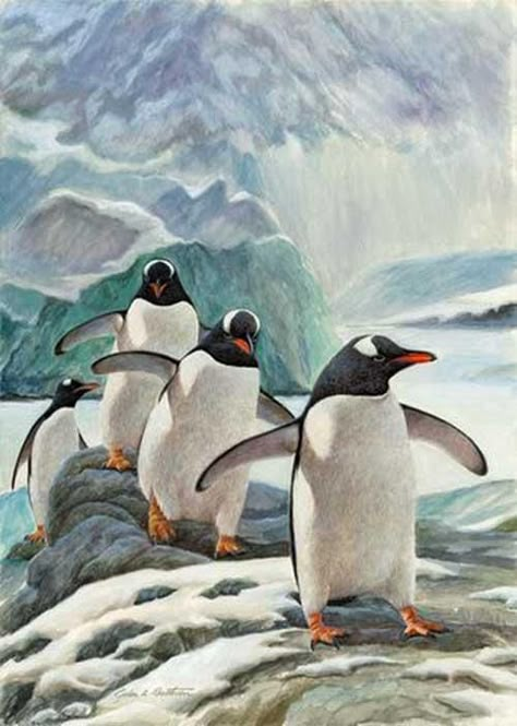 Group Of Penguins, Dekoratívne Vence, Emperor Penguins, Penguin Drawing, Animals Watercolor, Penguin Art, Bird Artwork, Cute Penguins, Watercolor Bird