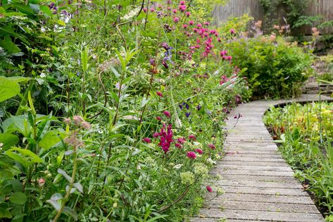 Ideas for a new-build garden New Build Garden Ideas, New Build Garden, Gardeners World, Monty Don, Brick Garden, Strawberry Garden, Raised Garden Beds Diy, Strawberry Plants, Outdoor Gardens Design