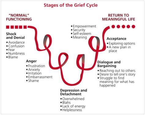 What is Grief Cycle; Examples and Stages of Grief - projectcubicle Narcissistic Personality, Meaningful Life, Personality Disorder, School Counseling, Therapy Activities, Self Esteem, Counseling, Self Help, Anger