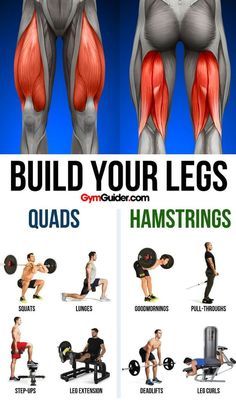 Fitness Studio Training, Quads And Hamstrings, Gym Antrenmanları, Squats And Lunges, How To Get Bigger, Leg Workouts, Keto Plan, Leg Curl, Trening Fitness