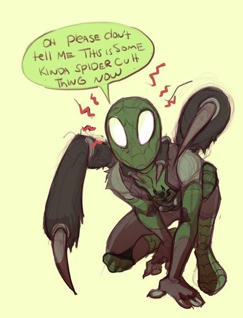 Spidersona Tarantula, Spider Man Into The Spiderverse Ocs, Tarantula Character Design, Tarantula Spiderman, Venom Sona, Spiderman Sona, Spider Ocs, Spider Sona Oc, Spider Sona Art