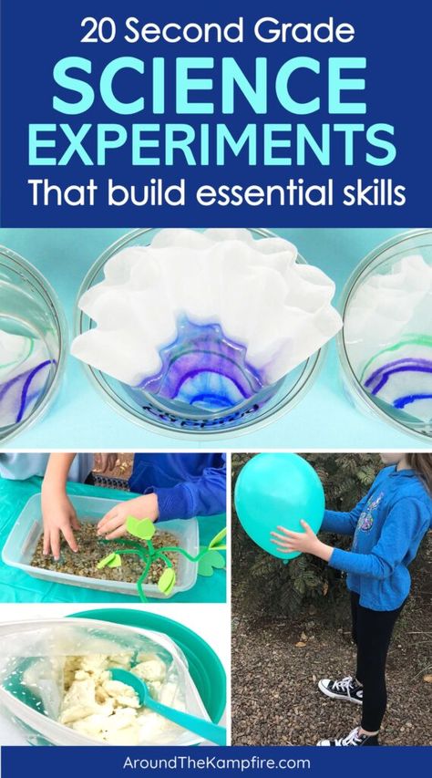 Adaptations Science, 2nd Grade Science, Water Erosion, Science Process Skills, Easy Science Projects, Plant Adaptations, Fun Stem Activities, Earth Changes, Second Grade Science