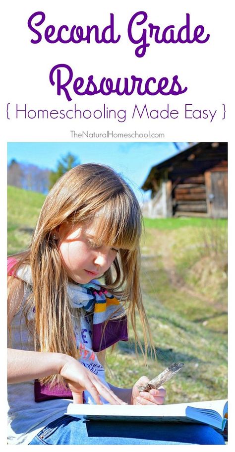 Second Grade Homeschool, Homeschooling 2nd Grade, Homeschool 2nd Grade, 2nd Grade Curriculum, Homeschooling Elementary, 2nd Grade Homeschool, Middle School Counseling, Start Homeschooling, Middle School History