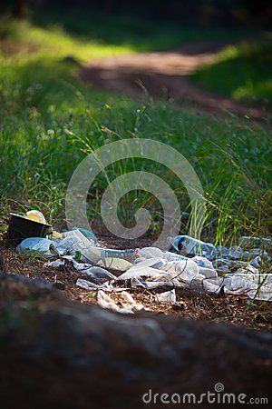 Trash In Forest, Environmental Problems, Grass Background, Environmental Problem, In The Forest, Ecology, The Forest, Stock Images, Forest