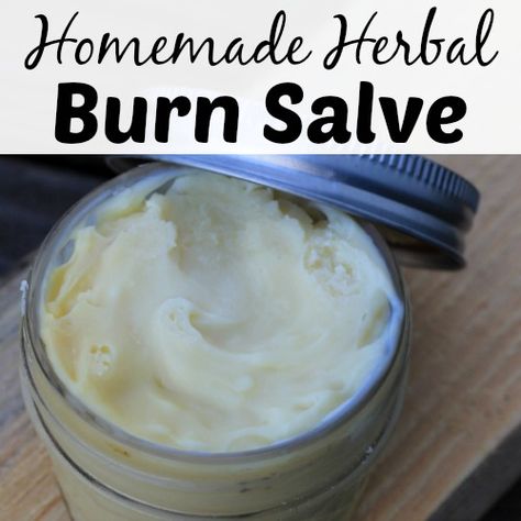 Burn Salve, Yarrow Salve, Tincture Recipes, Diy Salve, Herbal Preparations, Burn Cream, Yarrow Oil, Herbal Diy, Herb Medicine