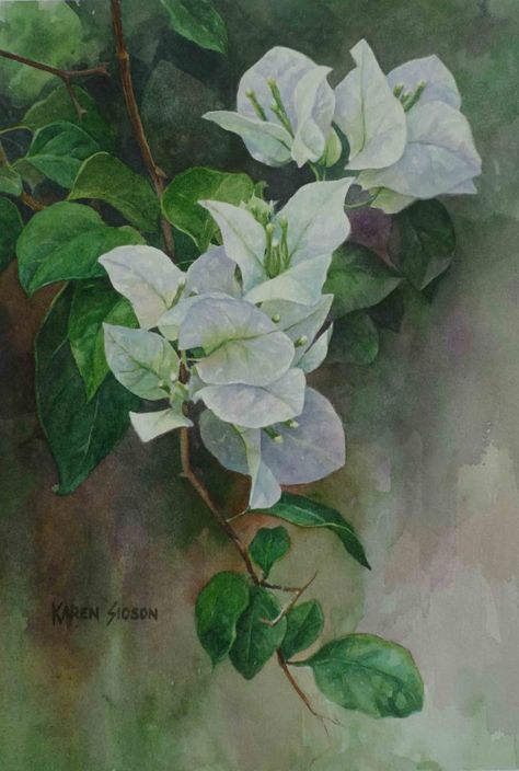 White Bougainvillea – karensioson.com Bougainvillea Painting Watercolors, Bouganvilla Flower, Bougainvillea Painting, Bougainvillea Watercolor, White Bougainvillea, Watercolor Flowers Tutorial, Flower Painting Canvas, Watercolor Flower Art, Watercolor Painting Techniques