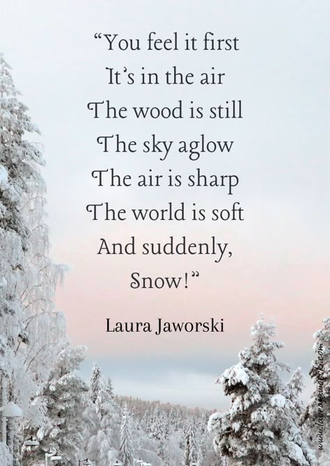 Snow by Laura Jaworski (@bugburrypond) ⛄ Winter Vibes Quotes, Joy Sayings, Like Snow We Fall, Renewal Quotes, Snow Woods, Cold Weather Quotes, Nature Poems, Snow Quotes, Seasonal Quotes