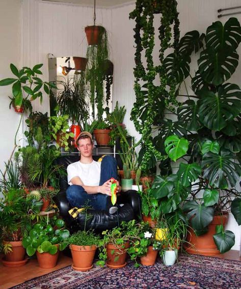 Are Boys With Plants the New “Hot Men Reading”? Men Reading, Tattoo Plant, Plant Decor Indoor, House Plants Decor, Room With Plants, House Plants Indoor, Bedtime Routine, Room Decor Bedroom Teenage, Plant Mom