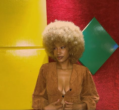 70’s blonde Afro Blonde 4c Afro, Blond 4c Hair, Blonde Afro Hair Black Women, Hairstyle Blackgirl, Blonde 4c Hair, Blonde Afro Hair, Afro Colors, Honey Blonde Afro, Blonde Afro Wig