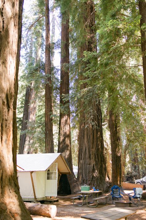 Tent Cabin Camping in Big Sur :: Fernwood Campground & Resort, Big Sur California Big Sur Cabin, Big Bear Mountain California, Kirk Creek Campground Big Sur, Fernwood Campground Big Sur, Big Bear Lake California, Big Sur California, Canvas Tent, Cabin Camping, Bay Area