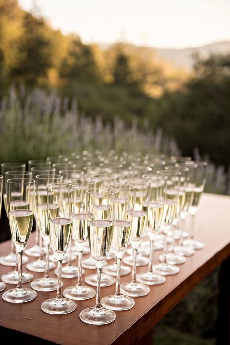 Champagne At Ceremony, Pre Ceremony Champagne, Champagne Before Ceremony, Champagne Before Wedding Ceremony, Champagne At Wedding Ceremony, Ceremony Champagne, Wine Country Wedding Venues, Ocean View Hotel, Napa Valley Vineyards