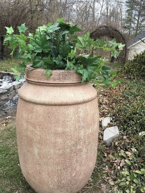 Pottery Barn Knock Off - From an Olive Barrel to a Barrel Planter! Wood Lantern Decor, Whiskey Barrel Planter, Geometric Headboard, Plastic Drums, Rose Gold Painting, Whiskey Barrels, Starburst Mirror, Orb Chandelier, 55 Gallon Drum