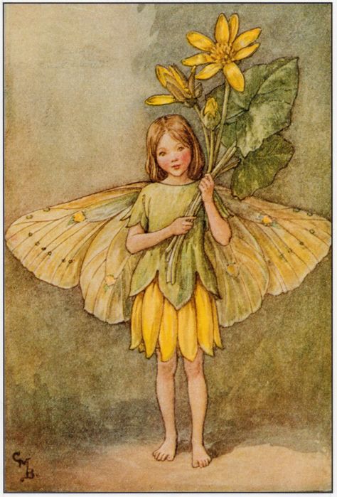 Cicely Mary Barker, Celandine 동화 삽화, Spring Fairy, Fairy Illustration, Fairy Pictures, Cicely Mary Barker, Fairies Elves, Vintage Fairies, Fairy Book, Flower Fairies