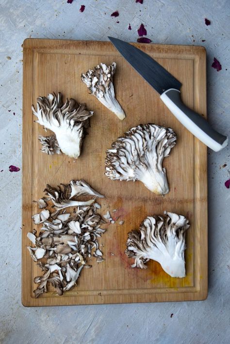 Hen Of The Woods Recipe, Hen Of The Woods, Lobster Mushroom, Chicken Of The Woods, Truffle Salt, Kentucky Fried, Refined Coconut Oil, How To Cook Mushrooms, Edible Mushrooms