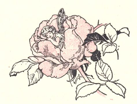 Illustration Projects, Rose Blossom, Fairy Pictures, Fairy Tattoo, Awesome Tattoos, Unique Drawings, Vintage Fairies, Vintage Illustrations, Tat Ideas