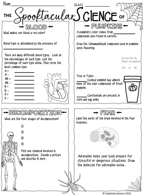 Blog post for planning and middle school science halloween lesson. Fun experiments and this print and go worksheet! FREE Fall Worksheets For Middle School, Halloween Science Worksheets, Middle School Halloween Science, Middle School Science Syllabus, Halloween Lesson Plans Middle School, Health Science Activities High School, Science Games Middle School, Science Experiments Middle School, 7th Grade Science Classroom