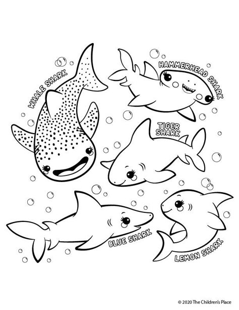 Shark Week Coloring Pages, Shark Colouring, Coloring Pages Shark, Whale Shark Coloring Page, Sharks Coloring Pages, Shark Coloring Sheet, Shark Activities, Whale Coloring Pages, Ocean Coloring Pages