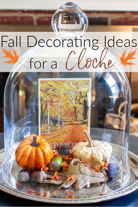 Fall Decorating Ideas for a Cloche - Learn how to create a fall vignette using a cloche. Many ideas are shared by a group of talented home decor bloggers. #falldecoratingideas #falldecorideas #fallcloche Cloche Display Ideas, Fall Cloches Decor Ideas, Thanksgiving Cloche Ideas, Cloches Decor Ideas For Christmas, Fall Cloche Decor Ideas, What To Put Under A Cloche Glass Domes, Cloches Decor Ideas For Fall, Dome Display Ideas, Autumn Cloche Ideas