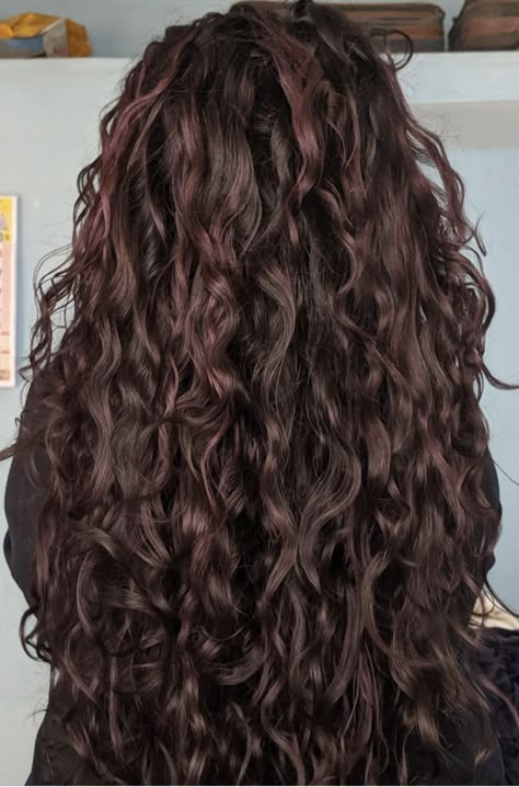 Deep Chocolate Brown Curly Hair, Hair Inspo Color Brunettes Curly, Dyed Brown Curly Hair, Cherry Chocolate Hair With Highlights, Curly Cherry Brown Hair, Cherry Dark Brown Hair, Cherry Chocolate Hair Color Brunettes, Dark Cherry Curly Hair, Cherry Brown Curly Hair