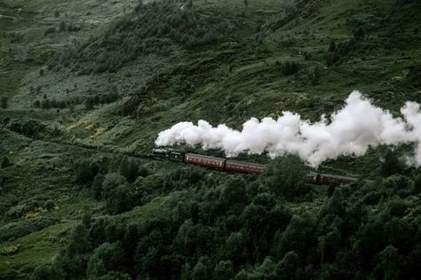 Training Aesthetic, Rabastan Lestrange, Green Academia, Images Harry Potter, Dark Green Aesthetic, Hogwarts Aesthetic, Slytherin Aesthetic, Hogwarts Express, Harry Potter Aesthetic