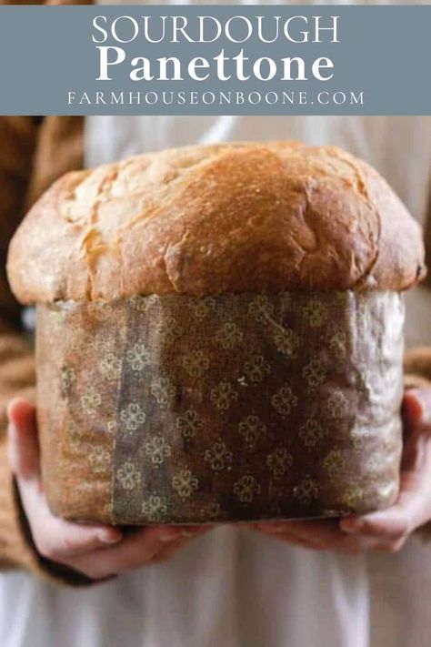 A classic Italian dessert, this Sourdough Panettone is not just for Christmas. Add this to your Easter dinner table or for any gathering to impress your guests with this sweet, airy bread. Made with a variety of dried fruits, panettone is packed with flavor and looks like a work of art. #sourdough #sourdoughpanettone #panettone #farmhouseonboone Sourdough Italian Bread, Sourdough Panettone Recipe, Sourdough Additions, Sweet Sourdough Recipes, Italian Sourdough Bread Recipe, Panetone Recipe, Panettone Recipes, Sourdough Panettone, Sweet Sourdough Bread