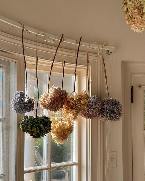 Hi there, from the crazy hydrangea lady! These blooms are drying so nicely (except a few of the blue ones- I harvested them too early). The ones in the window have actually been hanging there since last fall (I just loved them in the stark winter months and never took them down). So take this as your reminder to dry some hydrangeas, if you can, for real flowers in your home year round! #fridaysareforphotos Dried Hydrangeas Decor Ideas, Dried Hydrangeas, Pumpkin Picking, Dry Leaf, Warm Blankets, The Crazy, Winter Months, Hi There, Ikebana